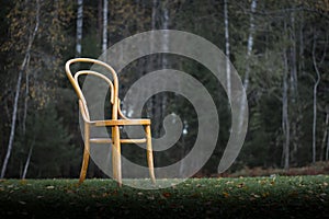 Bentwood chair