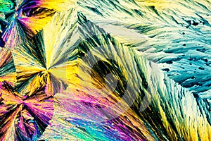 Benzoic acid crystals in polarized light