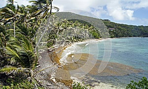 Bequia Island Beach, St. Vincent and Grenadines