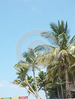 Beras Beras Basah Island Bontang, East Borneo Indonesia