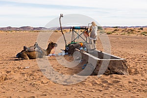 Berber and camel near the well, Morocco