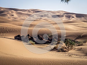 Berber Camp In the Sahara Desert Morocco