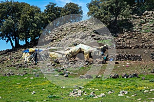 Berber Encampment