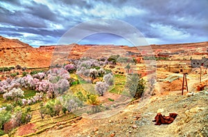 Berber man resting at the Asif Ounila valley in the High Atlas Mountains, Morocco