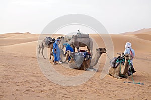 Berber men with camels