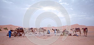 Berber men with camels