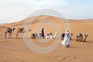 Berber men with camels