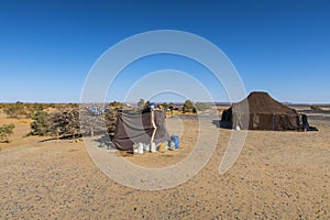 Berber nomads camp in Sahara desert