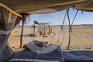 Berber nomads camp in Sahara desert