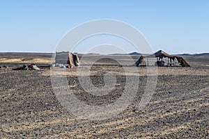 Berber nomads camp in Sahara desert