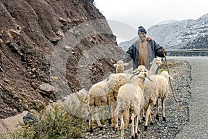Berber shepherd with his flock in remote High Atlas mountain