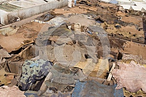 Berber tannery