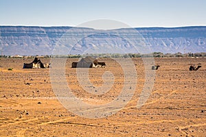 Berber tents in desert in Zagora province in Morocco