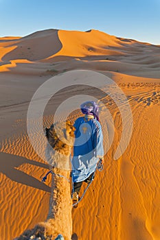Berber walking with camel at Erg Chebbi, Morocco