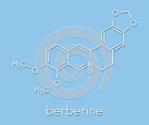 Berberine alkaloid molecule. Present in number of plants. Used as a yellow dye and as a traditional antifungal medicine. Skeletal.