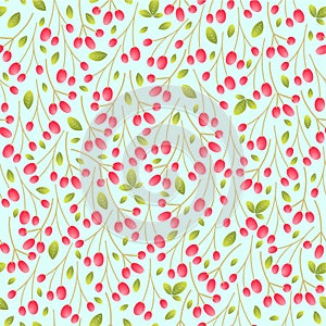 Berberis seamless pattern vector background