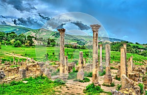 Berbero-Roman ruins at Djemila in Algeria