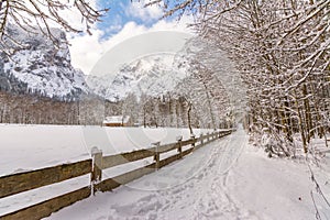 Berchtesgadener national park, germany photo