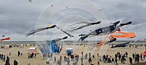 Berck plage cerf-volant