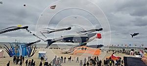 Berck plage cerf-volant