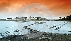 Berder island and oyster farm in Morbihan