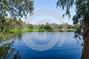 Berekhat Yaar forest pool nature reserve, in Hadera