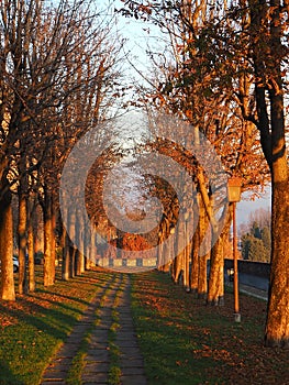 Bergamo, Italy. The Old city. One of the beautiful city in Italy. The tree-lined avenue along the Venetian walls