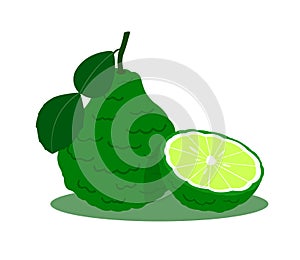 Bergamot isolated on a white background.