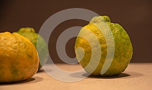 Bergamot fruits Citrus sp. On lighted surface and dark background