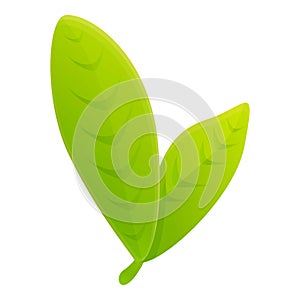 Bergamot green leafs icon, cartoon style