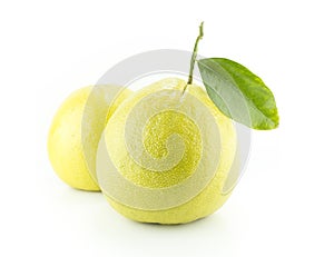 Bergamot oranges photo