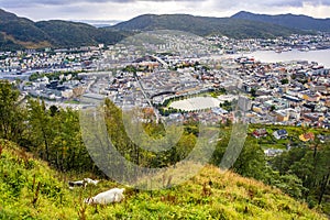 Bergen, Norway - Panoramic city view with Bergen Vagen harbor - Bergen Havn - and historic Bryggen heritage district seen from