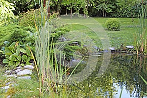 Bergenia crassifolia, juniper bushes, trimmed boxwood bushes, sedges and reeds, large rocks by an artificial pond in the park.