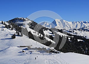 Berghaus Horneggli and ski slope photo