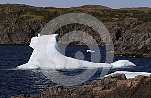 Bergy Bits in St. Carol's