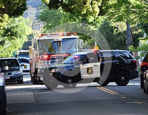 Berkeley Car Crash