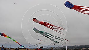 Berkeley festival of kites