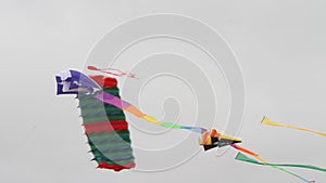 Berkeley festival of kites