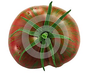 Berkeley Tie Dye heirloom striped bicolor tomato isolated, top  view