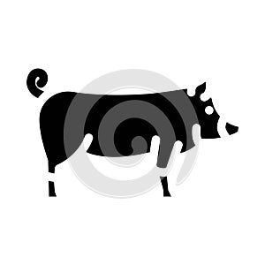 berkshire pig breed glyph icon vector illustration