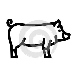 berkshire pig breed line icon vector illustration