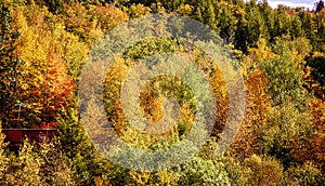 Berkshires Massachusetts train passing through colorful trees in Autumn