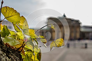 BERLIN, GERMANY - SEPTEMBER 22, 2015: Famous Brandenburger Tor