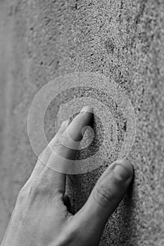 Berlin Wall Memorial III