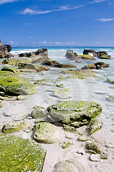 Bermuda beach