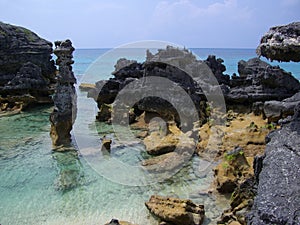 Bermuda rocky shore