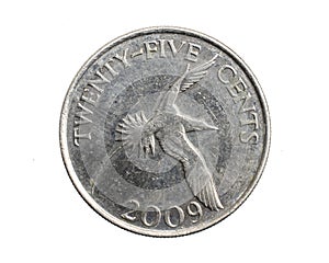 Bermuda twenty five cents coin on a white isolated background