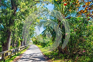 Bermuda Walkway
