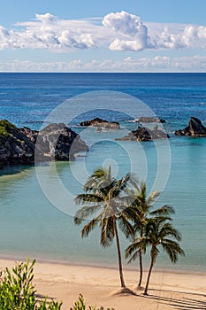 A Bermudan Beach