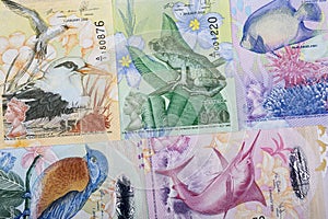 Bermudian Dollar a background